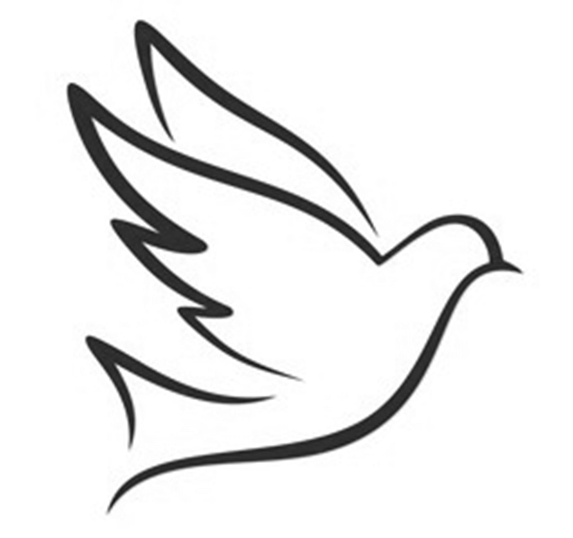 Taube